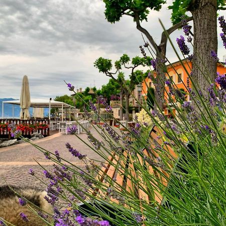 Villa Corteolivo Rooms Торрі-дель-Бенако Екстер'єр фото